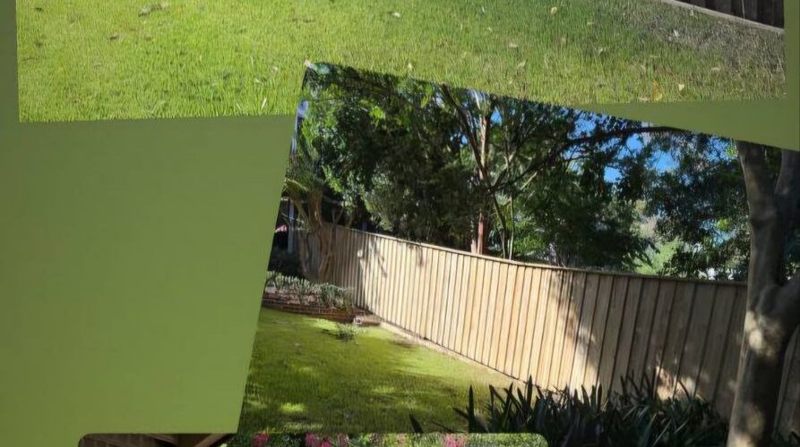Fence Replacing In Sydney